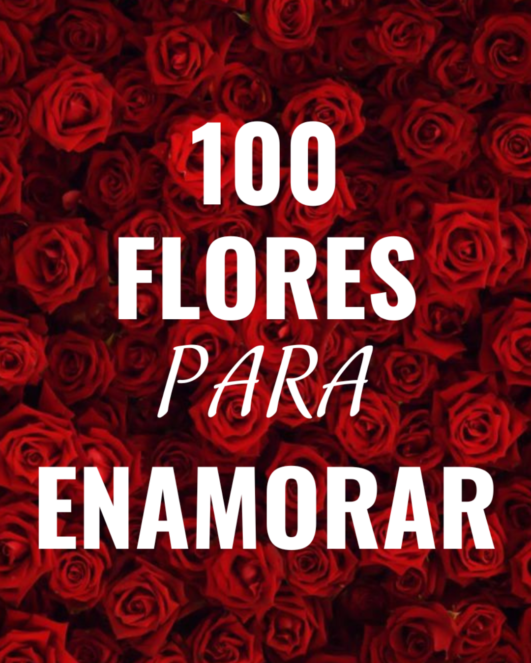 Florify_Producto_Ramo 100 Rosas para enamorar